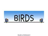 BD_Birds_011.pps