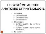audition.ppt