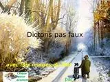 Dictons pas faux.pps