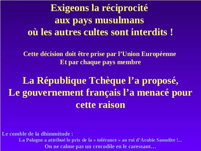 Nazi 111 pps Fichier PPS