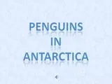 pingouins dans leur quotidien en Antarctique.pps