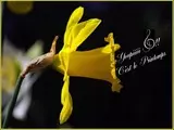 C'EST LE PRINTEMPS.pps