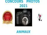 CONCOURS PHOTOS 2021 ... ANIMAUX - @ C. GERARD.pps