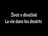 Zivot v divocine.ppsx