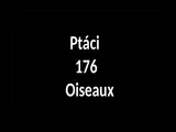 Ptaci 176.ppsx