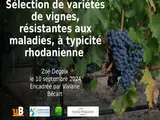 Soutenance DEGOIX 2024.pptx